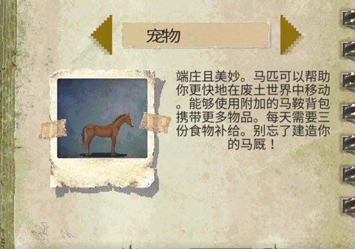 庇护所